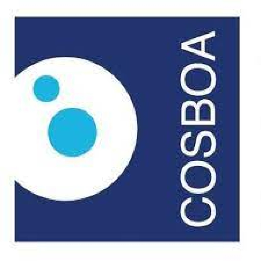 am332cosboa