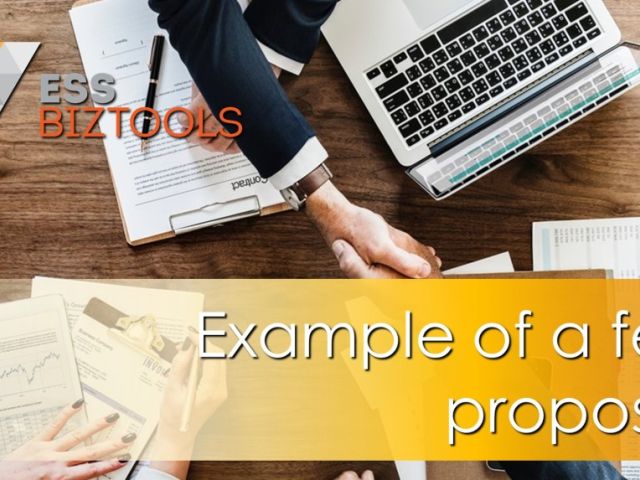 Example of a fee proposal