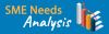 SME Needs Analysis