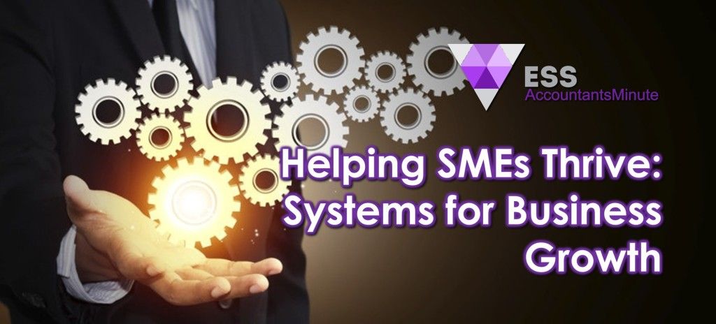 Helping SMEs Thrive: Systems for Business Growth