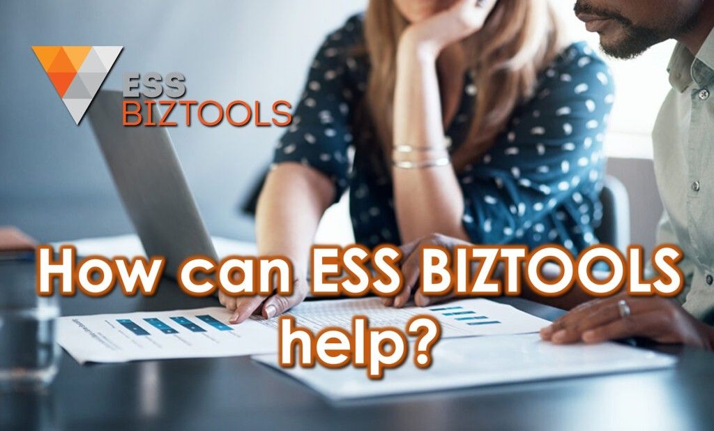 How can ESS BIZTOOLS help? Part 2
