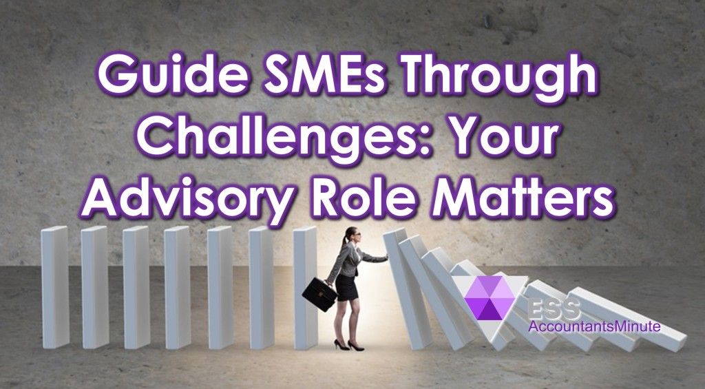 Guide SMEs Through Challenges: Your Advisory Role Matters