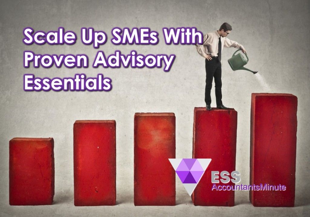Scale Up SMEs With Proven Advisory Essentials
