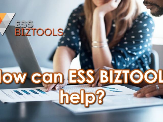 How can ESS BIZTOOLS help? Part 2